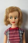 Ideal - Tammy's Family - Glamour Misty - The Miss Clairol - Doll